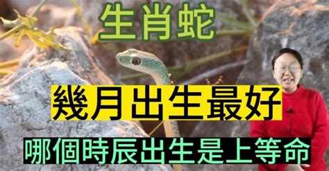 屬蛇幾月生好|屬蛇的幾月出生最好？出生的月份決定了命運